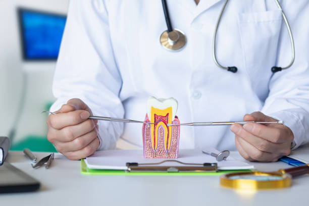 Best Pediatric Emergency Dentist in Luverne, MN